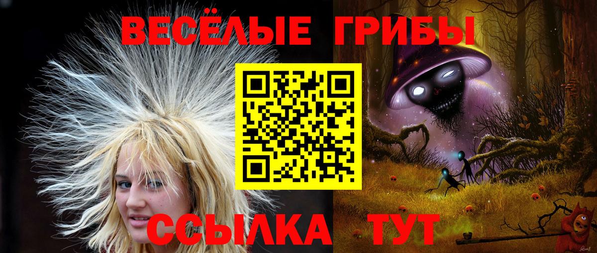 Галлюциногенные грибы мицелий  Галлюциногенные грибы Magic Shrooms  Котлас  Вход с VPN 